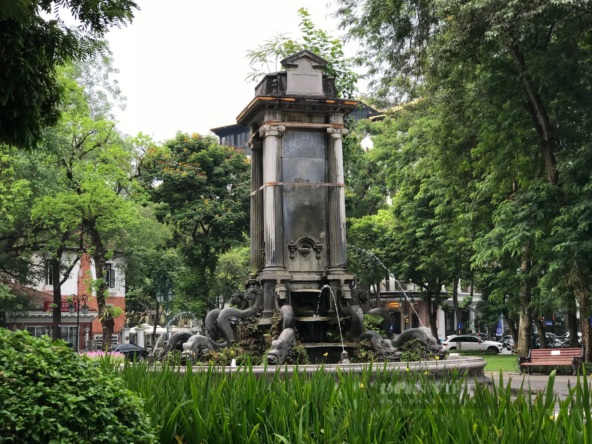 Vườn hoa con cóc